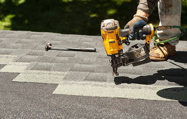 Best Roof Maintenance and Cleaning  in Fritz Creek, AK